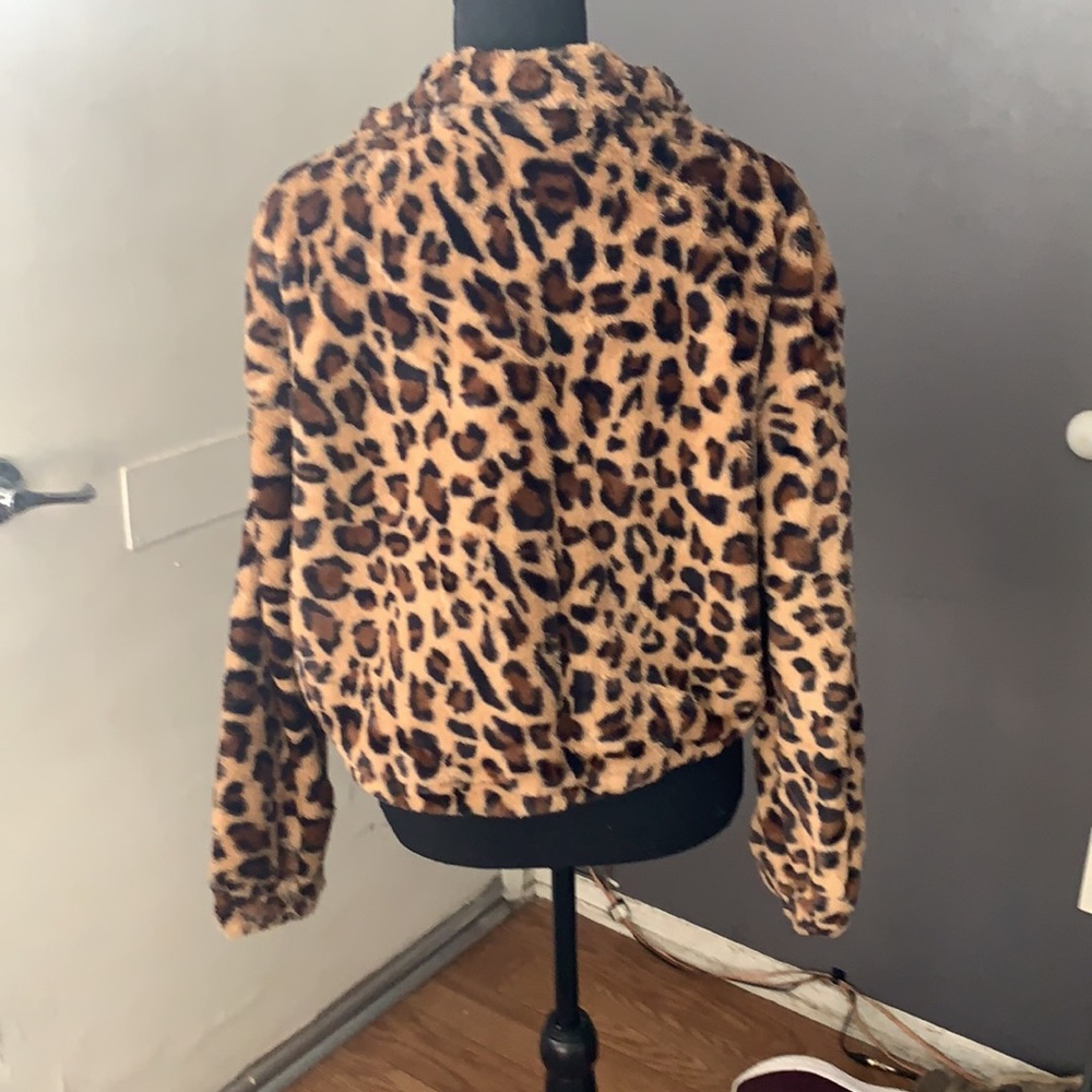 Jacket - Picture 2 of 4